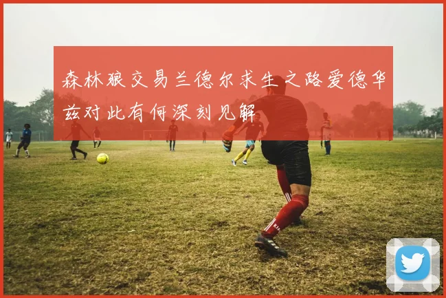 森林狼交易兰德尔求生之路爱德华兹对此有何深刻见解